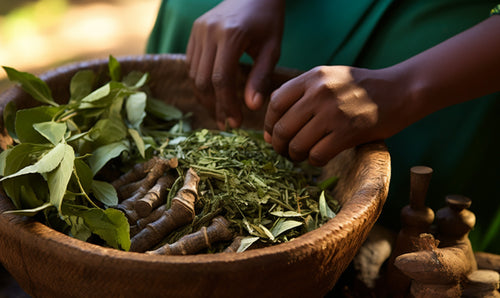 Champions Pharmaceutical’s Research program into cannabinoids and terpenes within traditional Nigerian medicine